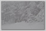 Parco Regionale del Sirente Velino