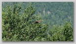 Il Parco Regionale del Velino Sirente