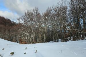 I Piani di Pezza