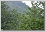 Parco Nazionale del Gran Sasso e Monti della Laga