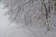 Campo Felice sotto una fitta nevicata