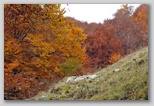 I Colori dell'autunno in Abruzzo