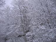 Fotografia a cura di Alessandro Ludovici