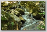 Pietracamela durante il periodo estivo. Una passeggiata verso i Prati di Tivo da quota 950 a 1450 metri.