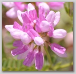 Da Scoppito, ai piedi del Monte Calvo.