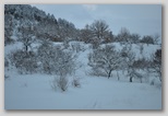 La nevicata del 3 febbraio 2012: le foto scattate domenica a L'Aquila e dintorni. La zona di Scoppito sotto il Monte Calvo.