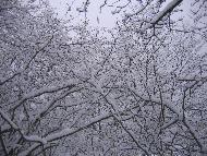 Fotografia a cura di Alessandro Ludovici