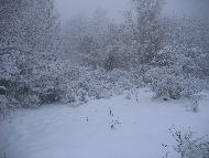 Fotografia a cura di Alessandro Ludovici