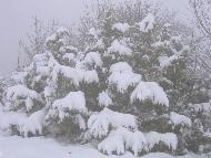 Fotografia a cura di Alessandro Ludovici