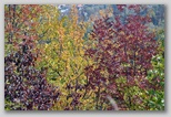 I Colori dell'autunno in Abruzzo