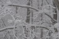 Campo Felice sotto una fitta nevicata