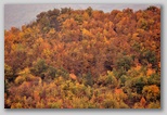 I Colori dell'autunno in Abruzzo