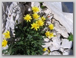 Immagini dall'Abruzzo in estate