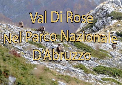 Val Di Rose, trekking e sci Alpinismo
