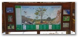 La Camosciara près de Civitella Alfedena