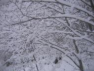 Fotografia a cura di Alessandro Ludovici