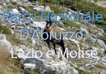Parco Nazionale D'Abruzzo, Lazio e Molise