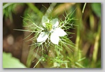 Immagini dall'Abruzzo in estate