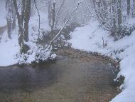 Fotografia a cura di Alessandro Ludovici