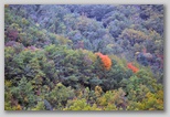 I Colori dell'autunno in Abruzzo