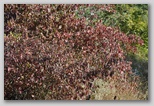 I Colori dell'autunno in Abruzzo
