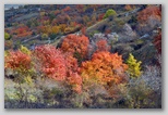 I Colori dell'autunno in Abruzzo