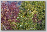I Colori dell'autunno in Abruzzo