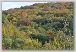 I Colori dell'autunno in Abruzzo