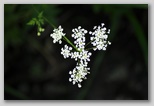 Immagini dall'Abruzzo in estate