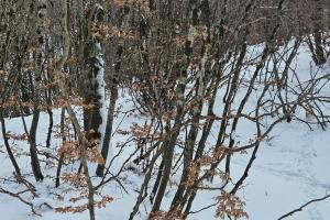 I Piani di Pezza