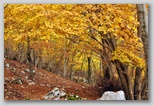 I Colori dell'autunno in Abruzzo