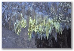 Hall of the Formations and Black Lake. The lighting enhances the shapes and textures of the formations.