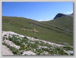 Immagini dall'Abruzzo in estate