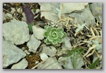 I Colori dell'estate in Abruzzo