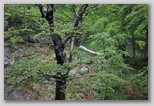 Parco Nazionale del Gran Sasso e Monti della Laga