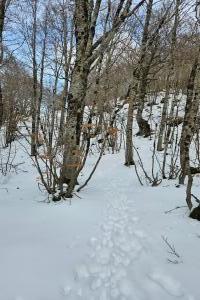 I Piani di Pezza