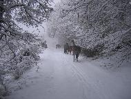 Fotografia a cura di Alessandro Ludovici