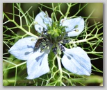 Immagini dall'Abruzzo in estate