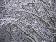 Fotografia a cura di Alessandro Ludovici