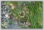 I Colori dell'estate in Abruzzo