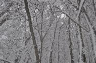 Campo Felice sotto una fitta nevicata