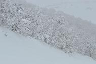 Campo Felice sotto una fitta nevicata