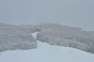 Campo Felice sotto una fitta nevicata