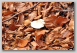 I Colori dell'autunno in Abruzzo