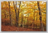 I Colori dell'autunno in Abruzzo