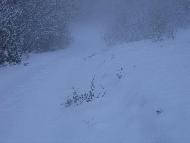 Fotografia a cura di Alessandro Ludovici