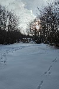 I Piani di Pezza