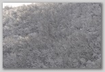 I colori dell'inverno in Abruzzo: la regione più innevata d'Italia