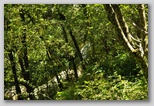 Pietracamela während der Sommersaison. Ein Spaziergang zu den Prati di Tivo von 950 bis 1450 Metern Höhe.