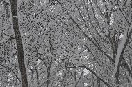 Campo Felice sotto una fitta nevicata